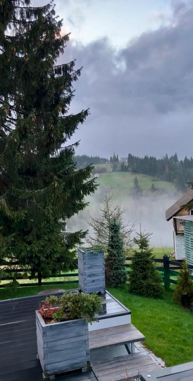 Шале Олень Яблоница Экстерьер фото