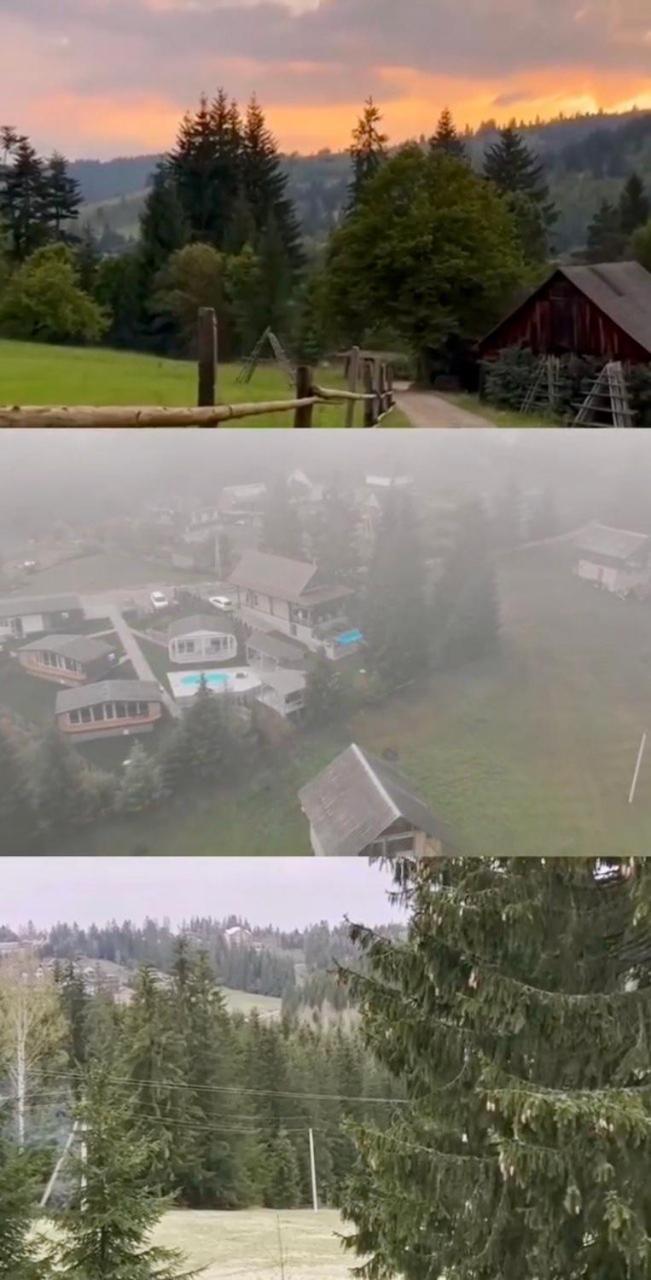 Шале Олень Яблоница Экстерьер фото